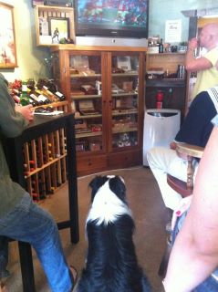 Bear LOVES Sports...  so come in and watch it with Mr. Bear!!!!